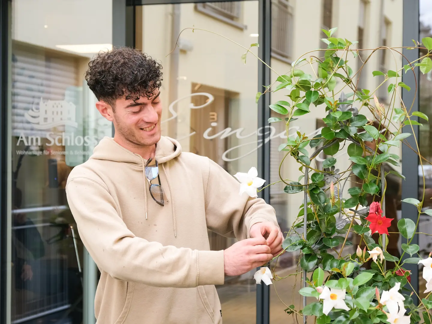 Gärtner beim Abpflücken verwelkter Blüten